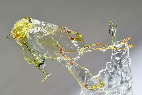 凝固的美 不可思議的液體雕塑——非即飲型茶的蛻變